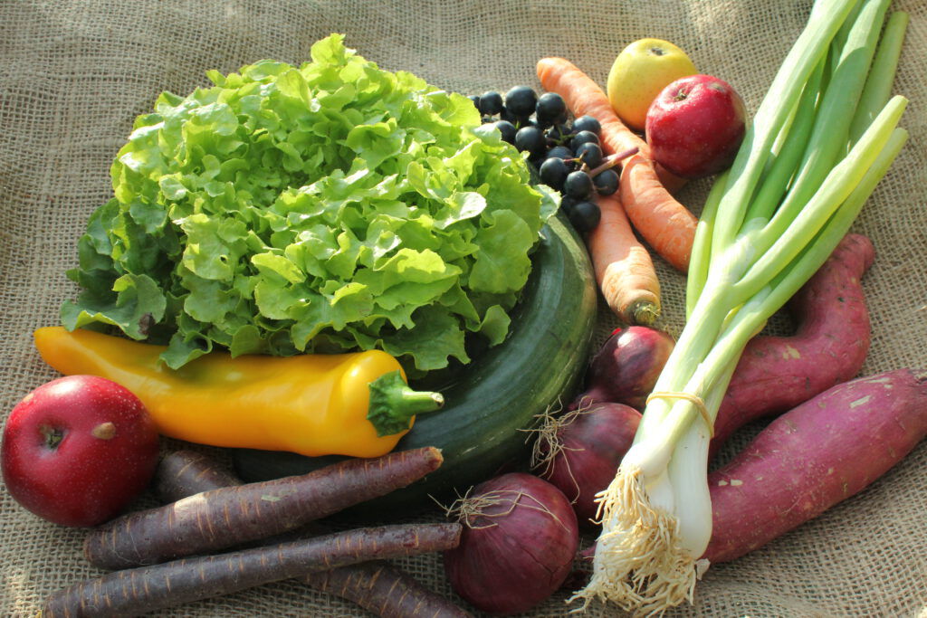 Frisches Gemüse und Obst: Salat, Frühlingszwiebeln, Paprika, Zucchini, Süßkartoffeln, Möhren und Äpfel