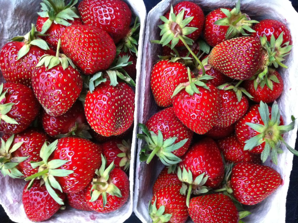 Zwei Schalen frischer Bio-Erdbeeren